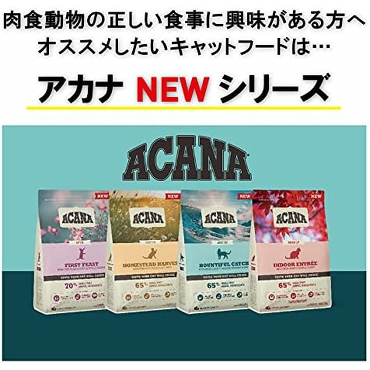 V4H2AF8F755550483279A2C4CFFD224976BR6646836P9