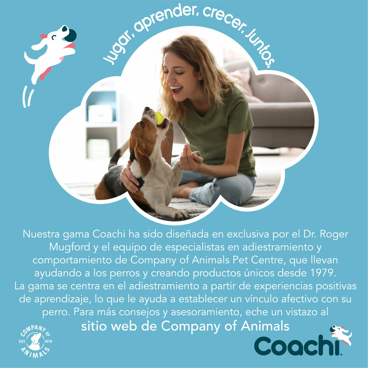 V8HC68D3FC77676FDB6FC496BA340A413FFR3709077P9