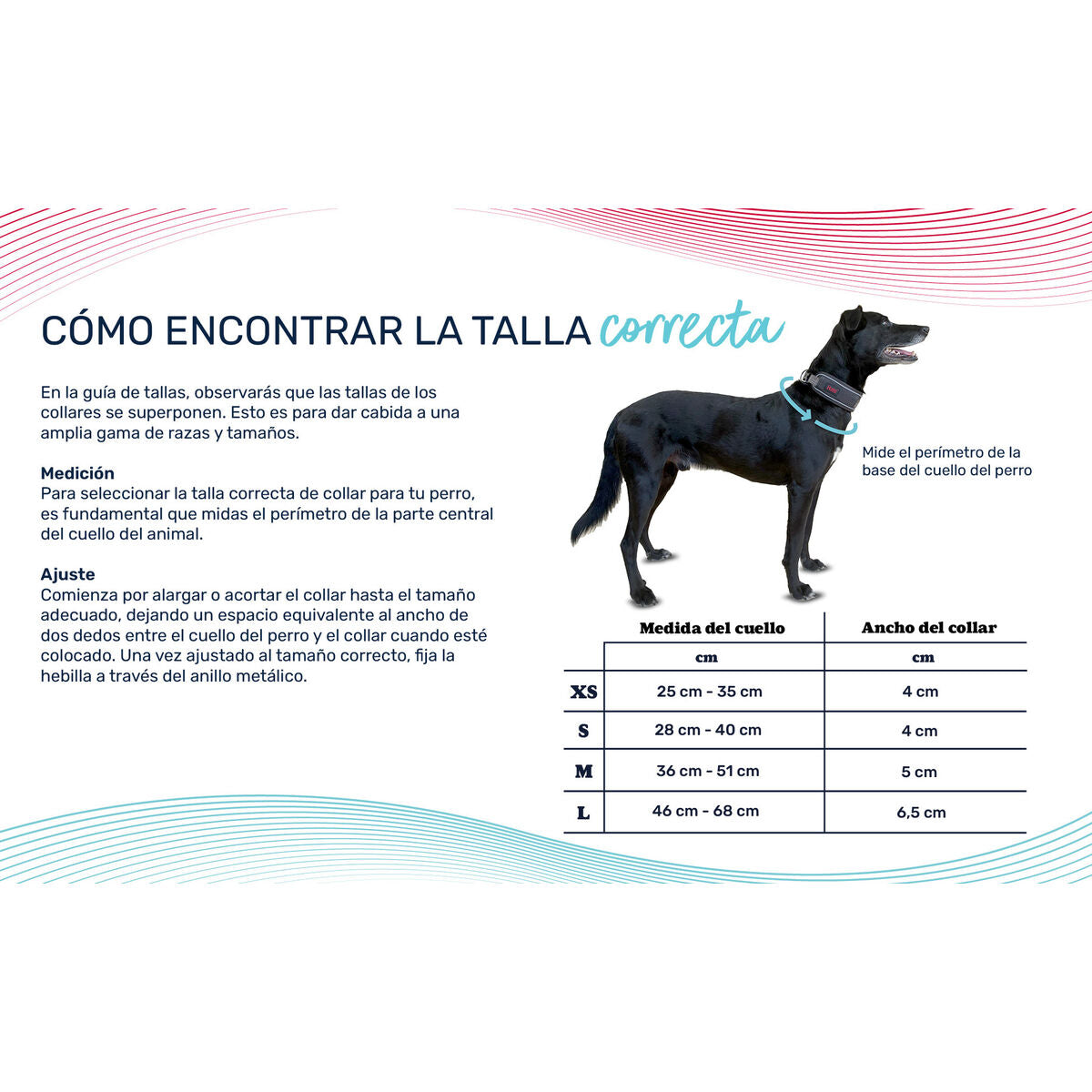 V2H7E02BF5099B0CDAFEC00B8F51A83815BR7722759P4