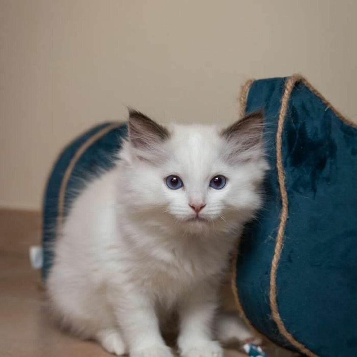 V4H646FA2F8D553A0E098FA8DAB482784F0R6669443P5