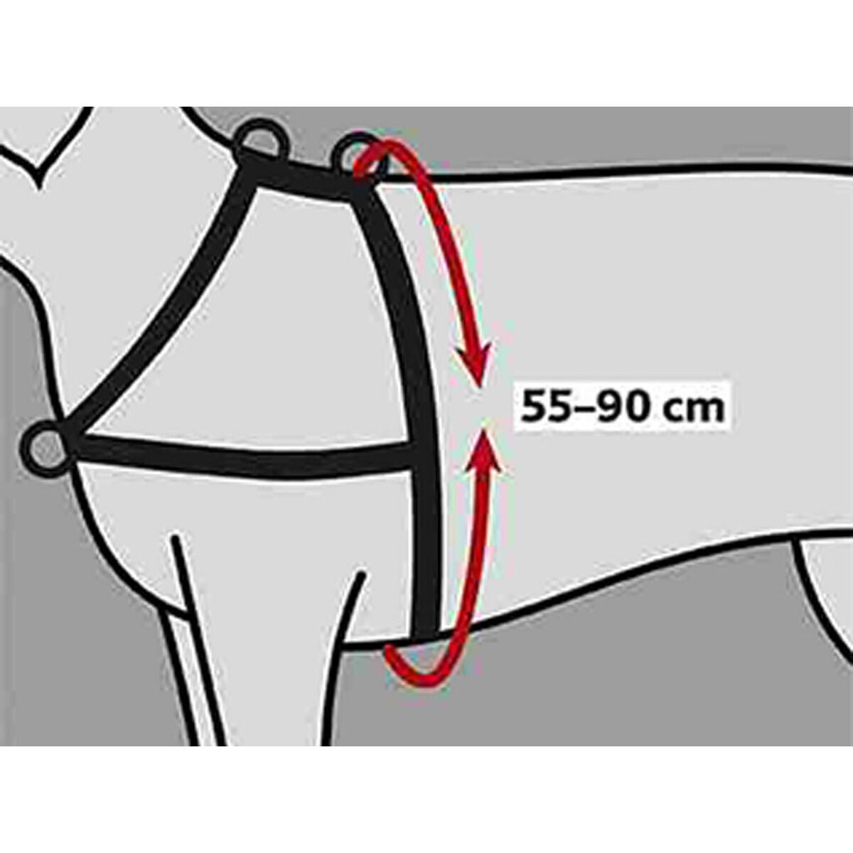 V8H809A46D470985D80A300594FC6EEC9A5R7441882P2