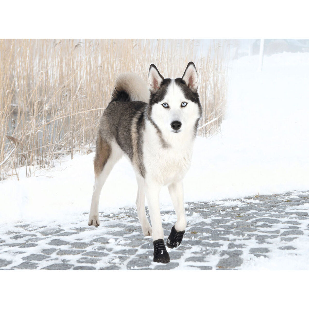 V4HA095589771909CE87CA612543B1123ACR7439897P3