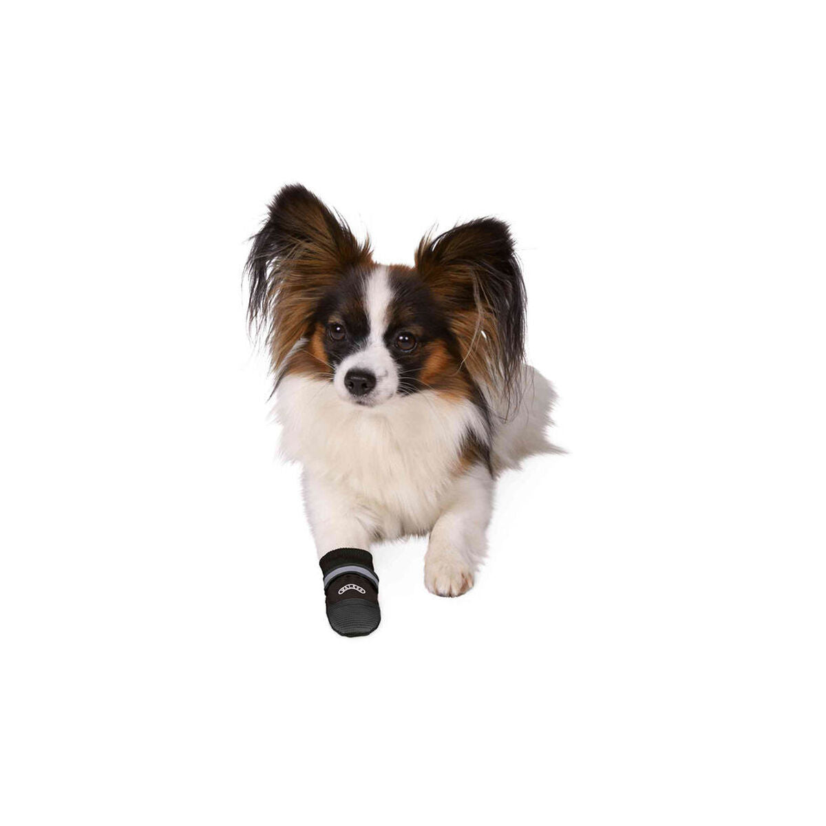 V4H730C8D12B147CF6D5FDE7912E45AE3E6R7440561P3