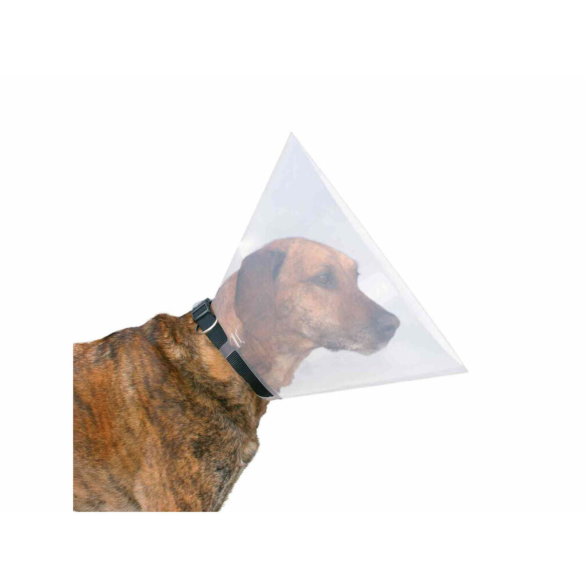 V6HDD219A04C33484F589D65088D6724B4BR7440559P3