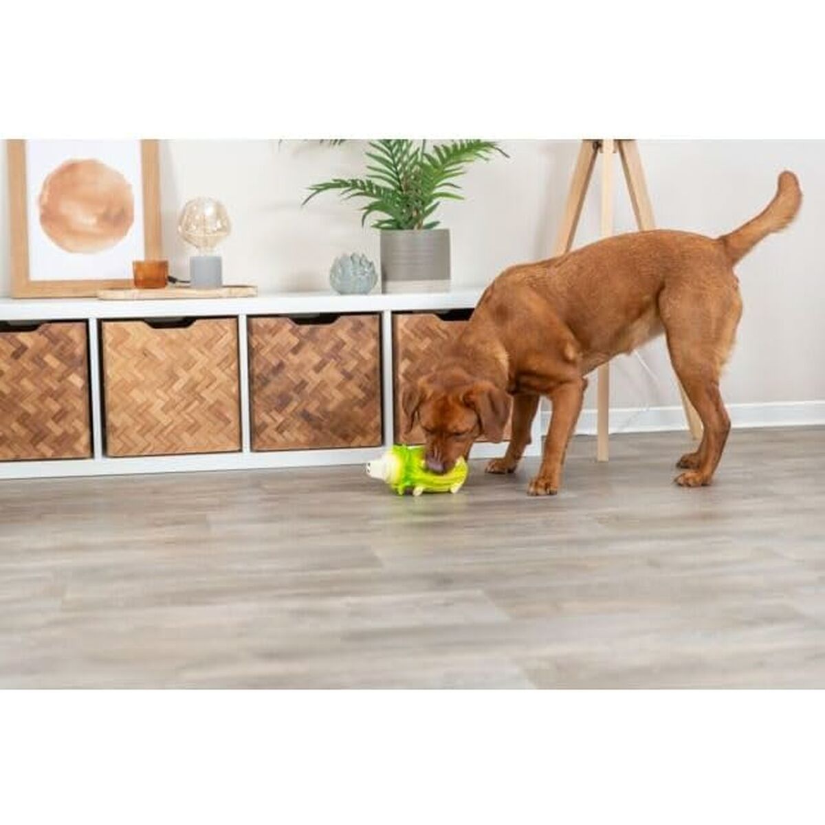 V8HCC897B935C2264E937D1D0DC49F55D62R5439765P2