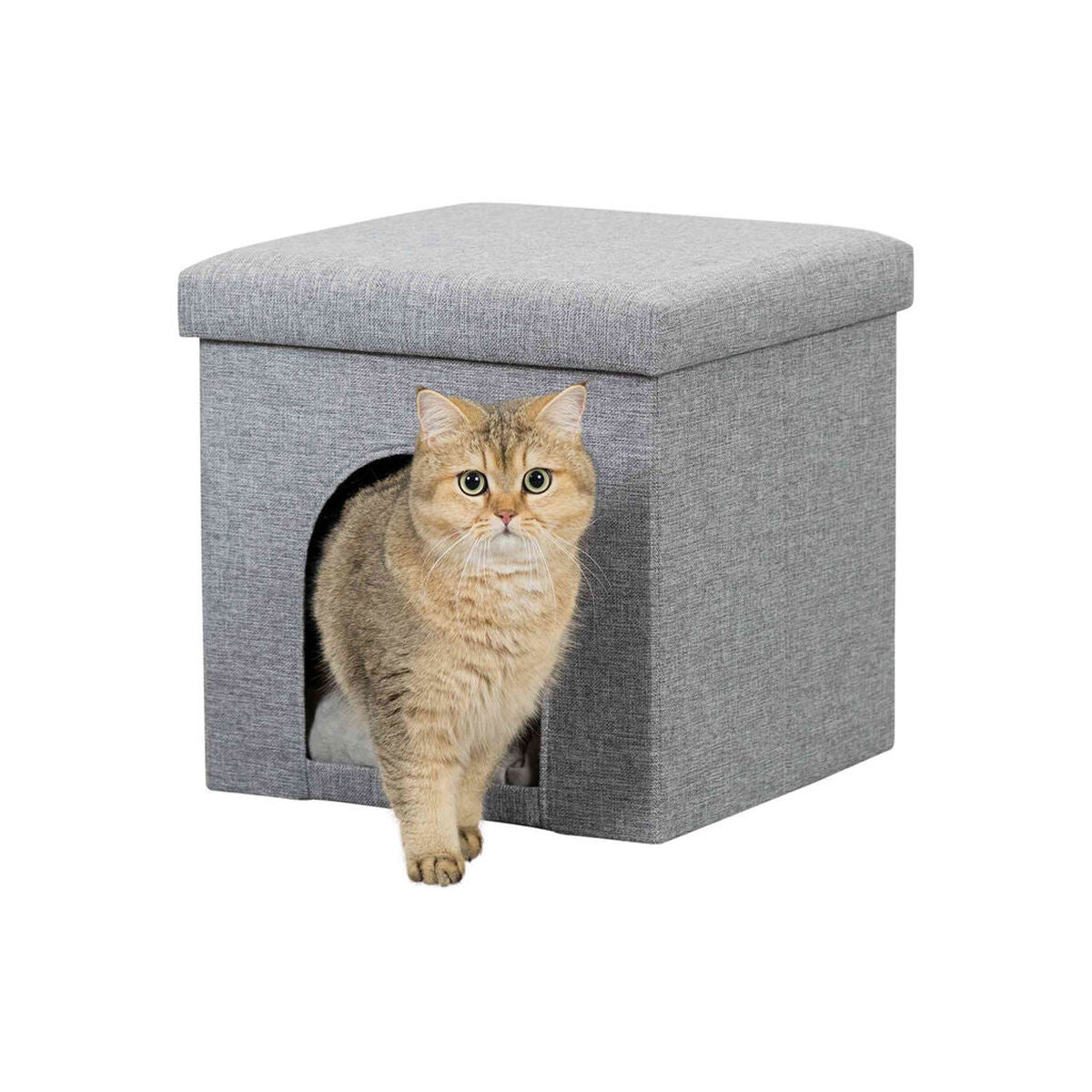 V9H05A66B21AC4CF36CF5BFC083C7A4F0A3R7440949P1