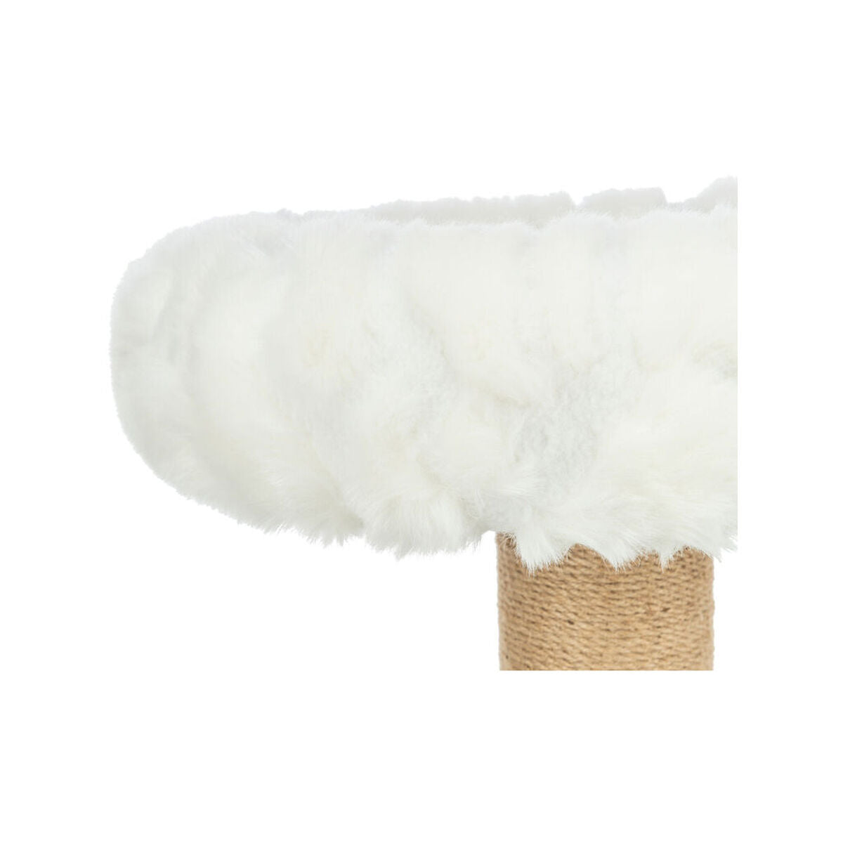 V4H44CF1C9F2A36D8BD65E189E19782D831R7463372P3