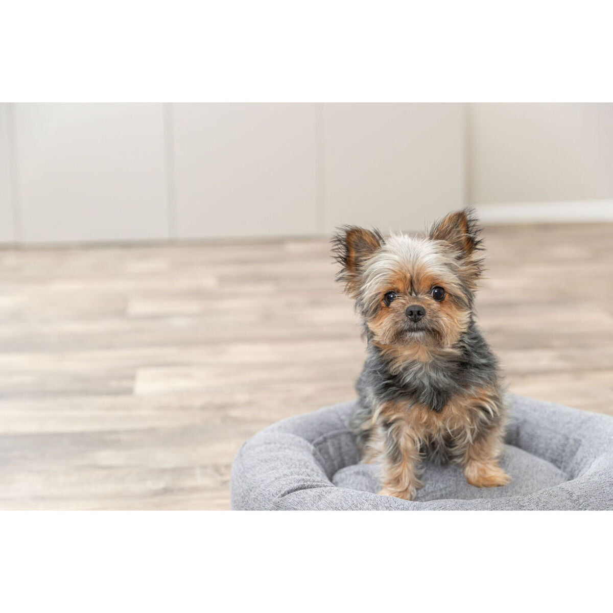 V2HEC7709C8C07B6D06BDAFFB08B5B0BBEER7639884P9