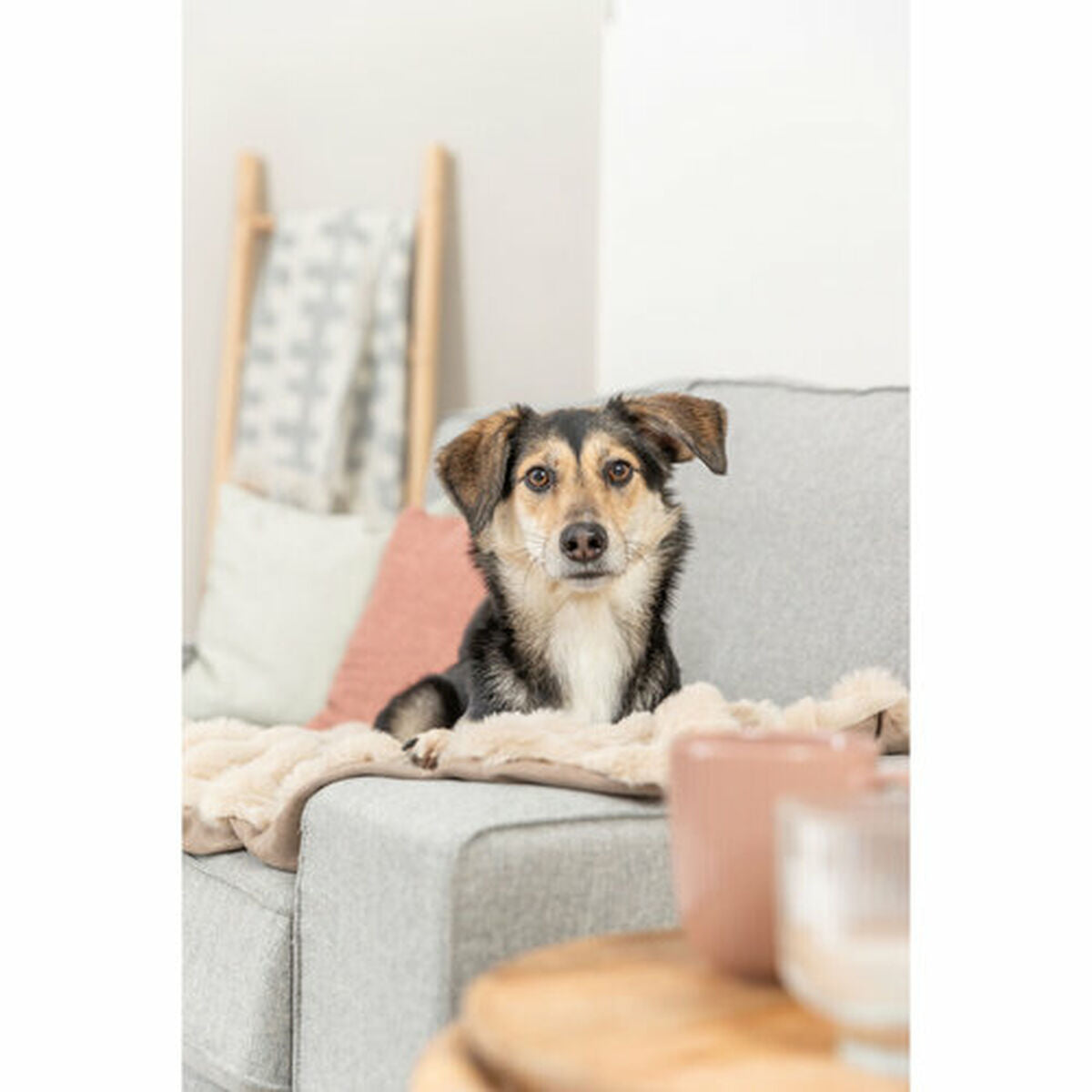 V5H5B9268D7D82543364DD3C599576895A2R7463014P4