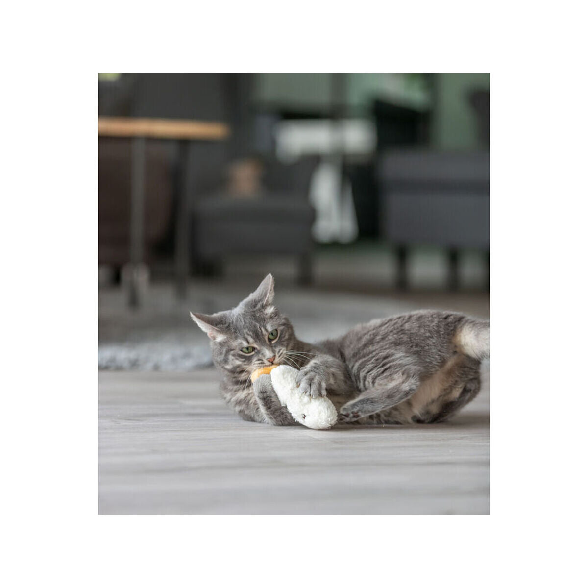 V3HB5531CF919EF967FBF812058B843912DR7463167P7