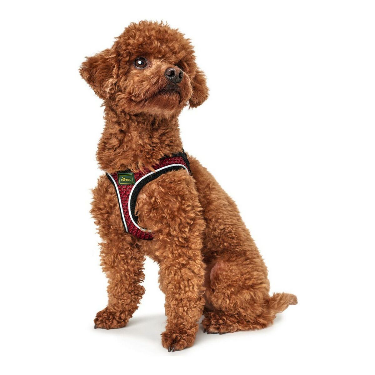 V10HD82718F760173F98A9C6C3E3BC8097C6R5121691P2