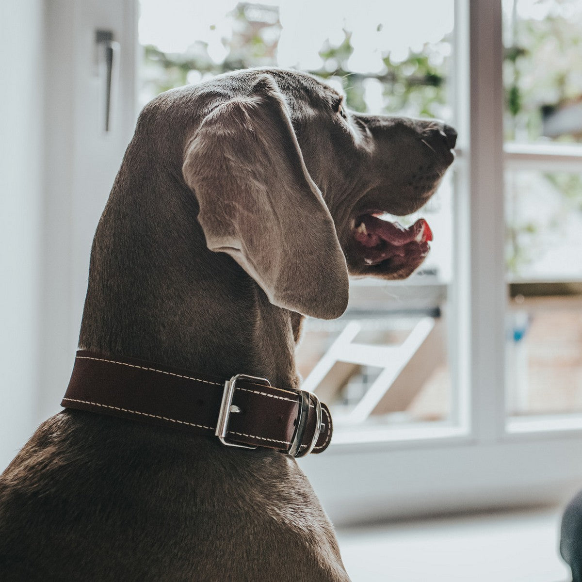 V9H24F628AE1CC76376A9D53A9F92048E2DR1561426P3