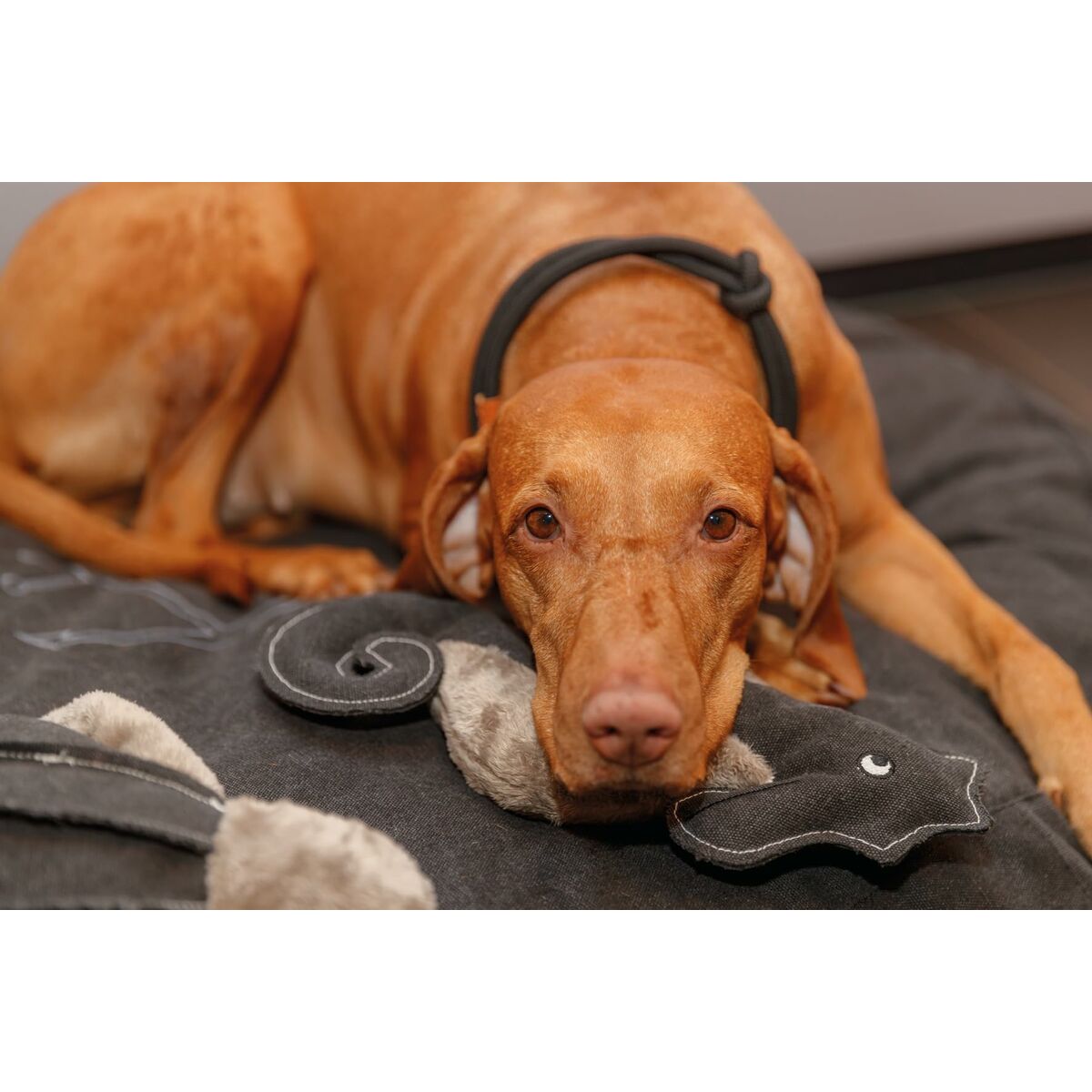 V7H001B47C4443F5736F4F7C6D2DF67B019R5330763P4