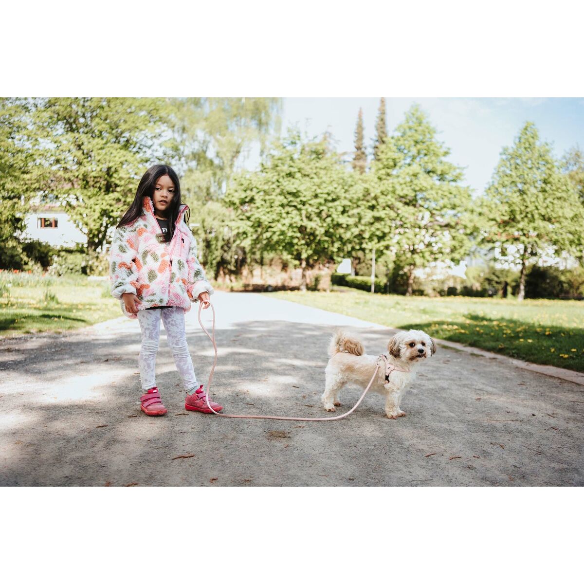 V4H3D2B7CD03C0828D13AA2369711773690R5575597P5