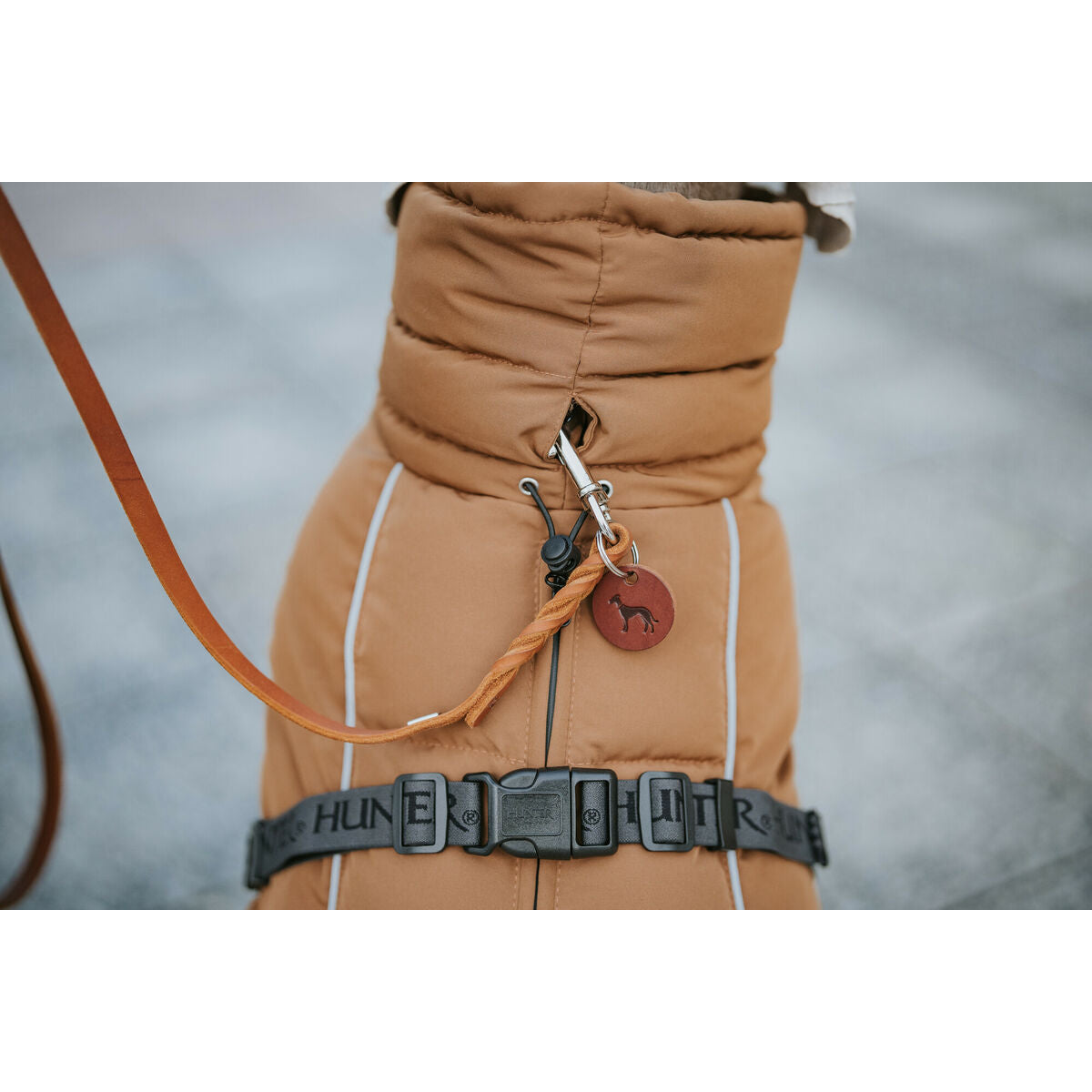 V4HD596E9D5E739272E3454A480493390ADR5575942P2