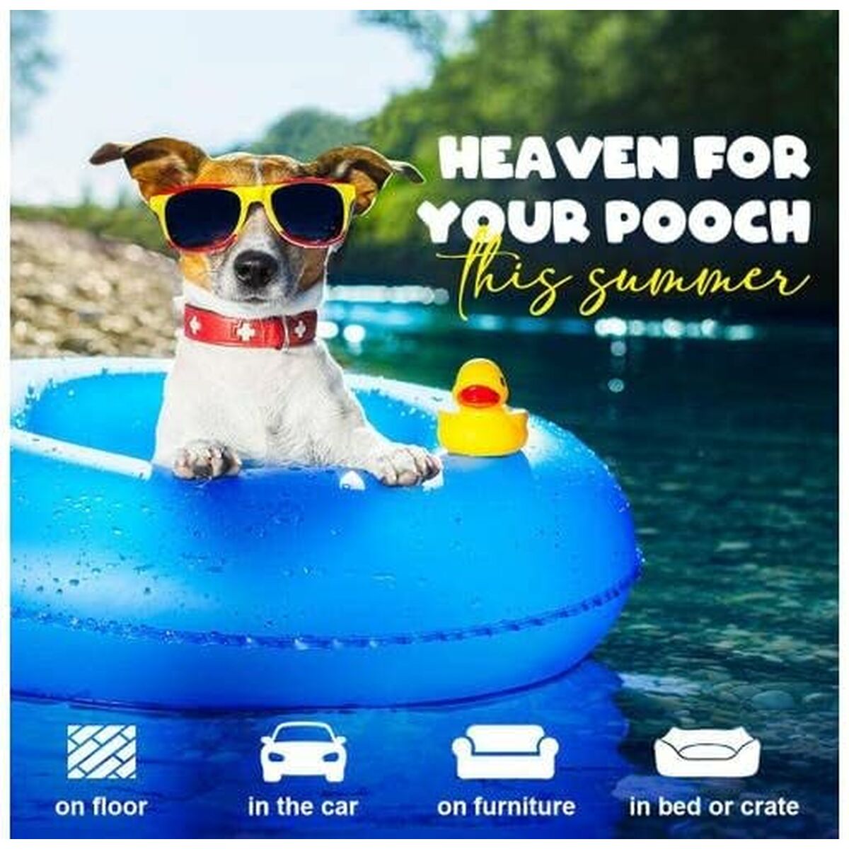 V5HA261F51353E1F26E8116FC0EF82D0EA9R7376885P8