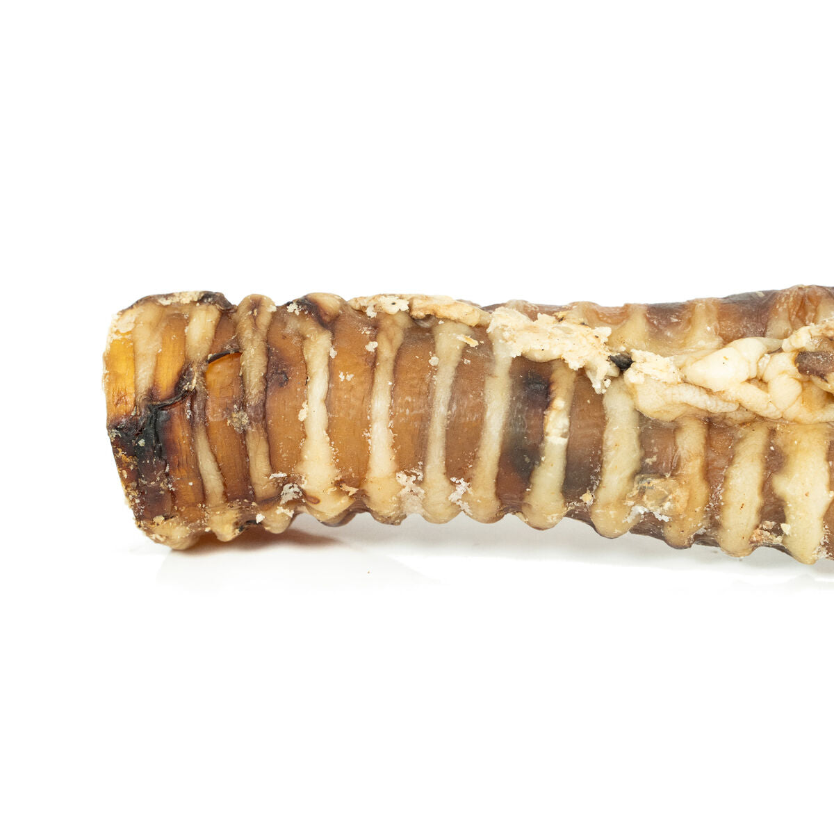 V5HE8FB61C03B25AE2B7AF6A77B0D2455E0R4975263P4