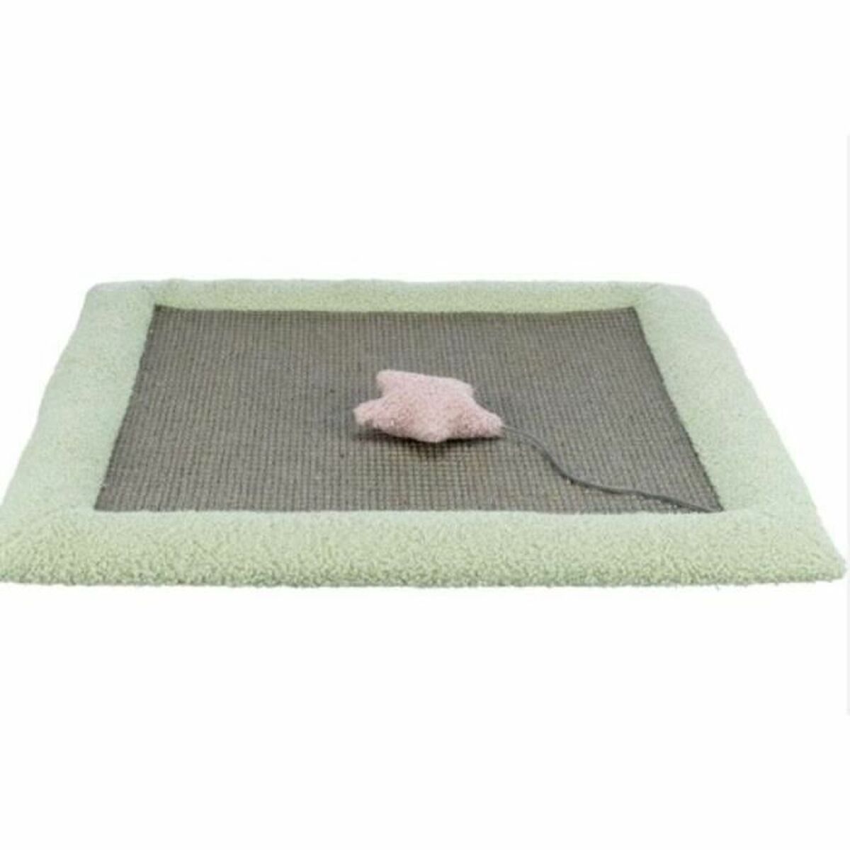 Beds, blankets and furniture