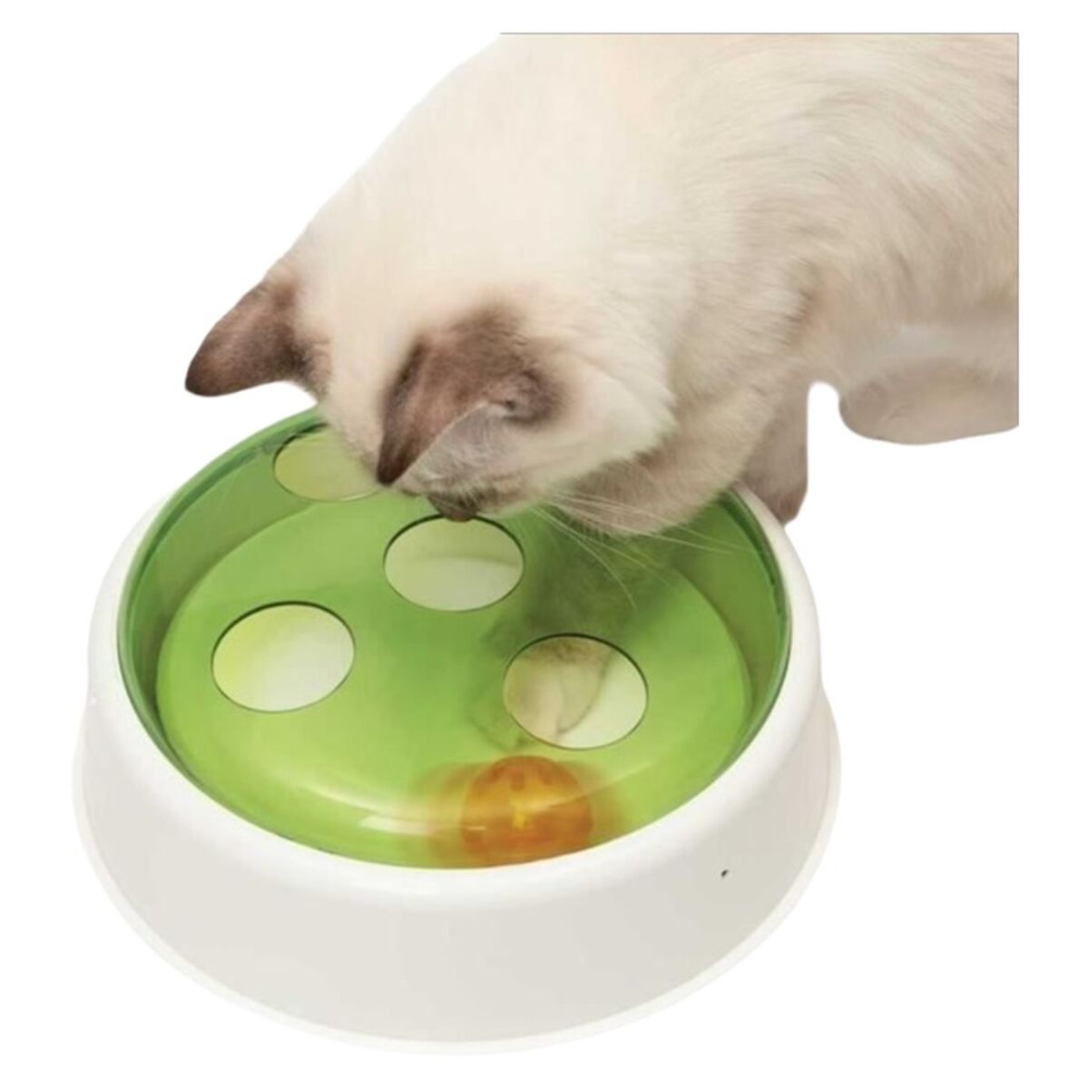 Interactive toys