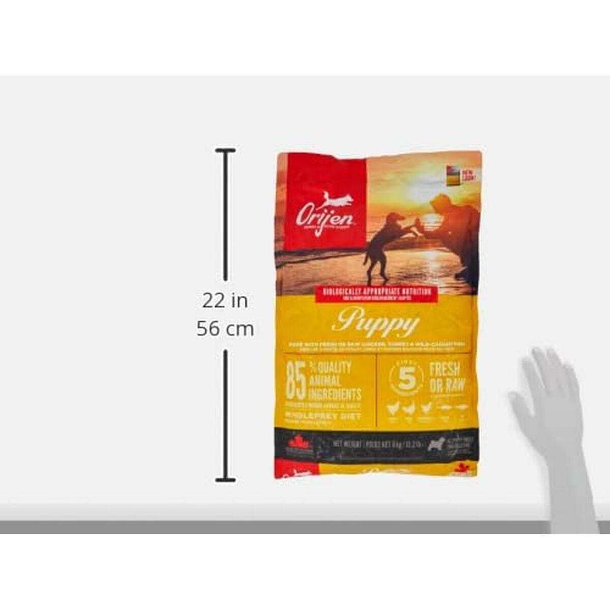 V4H4595DB1F12CE5B256A9EE5C0E50C3E0DR6646700P7