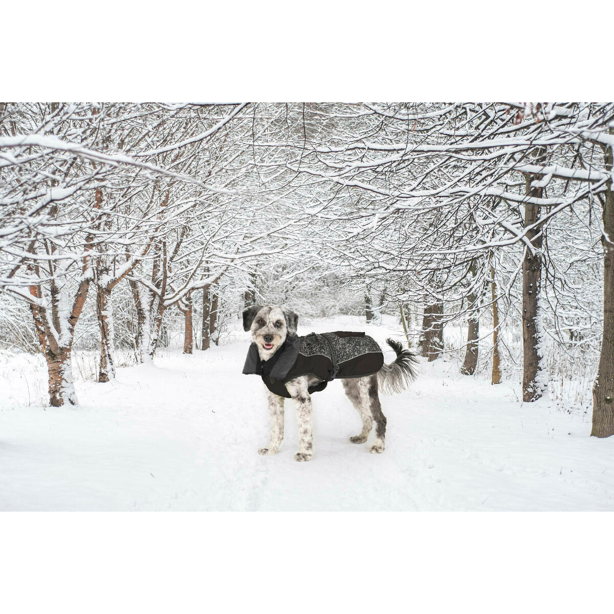 V6H40237E40E0D964D8FC77958D58B7F1CFR5332415P8