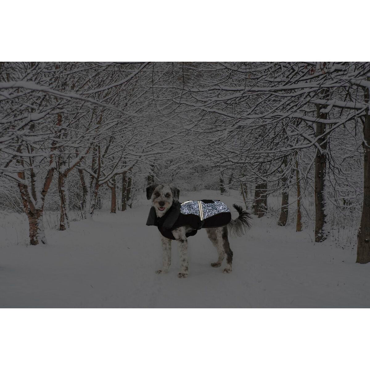 V6HB98D928D7D7E70DBDA1989684C0B8764R5332484P2