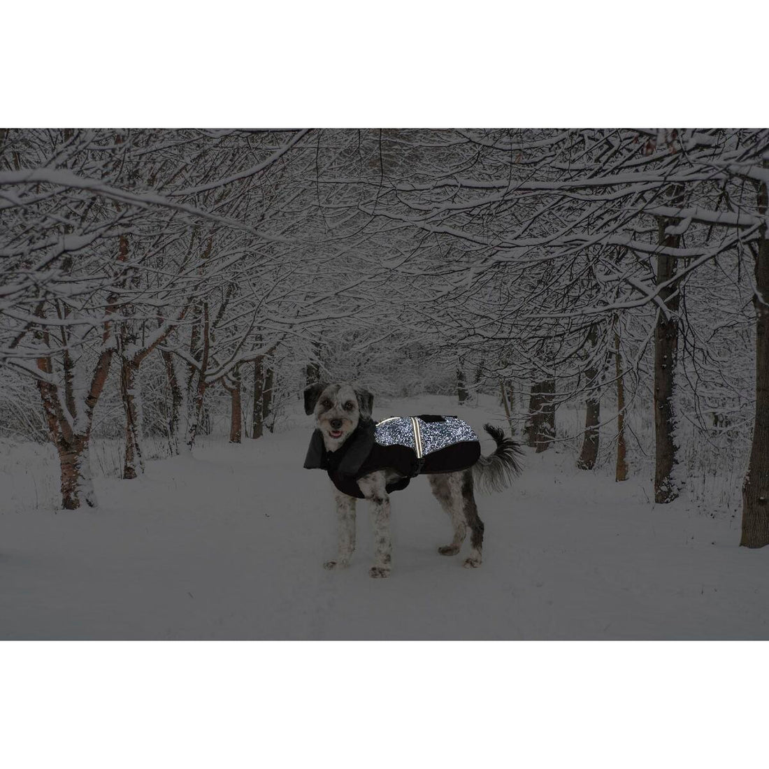 V6H277C3DBE87E9D463995E7B277F270817R5332432P2