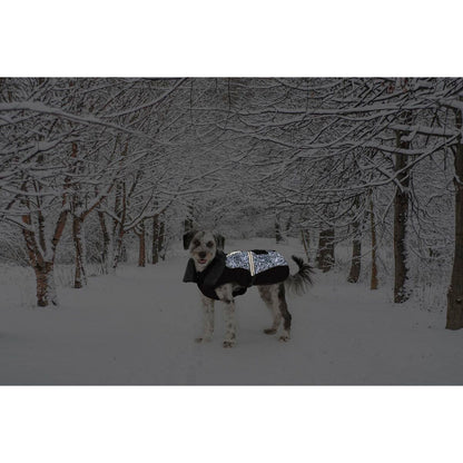 V6H0D2A2F62D9A49D5AD82974EF743F6DB3R5332494P2