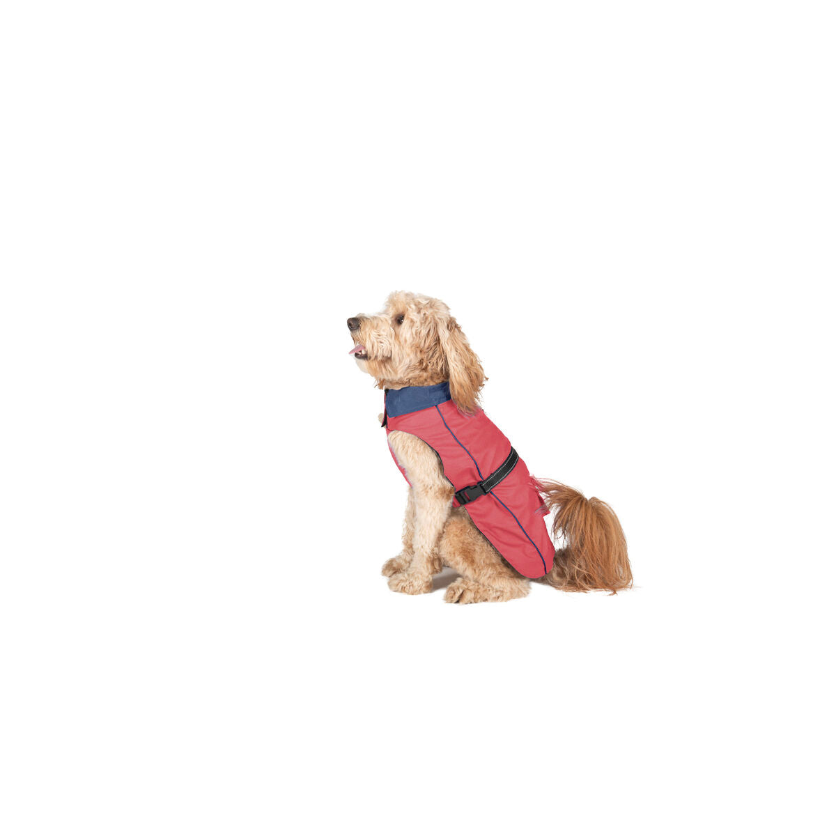 V6H6BB75C5B9541BDE8DFBC5B6839F66C46R5332686P1