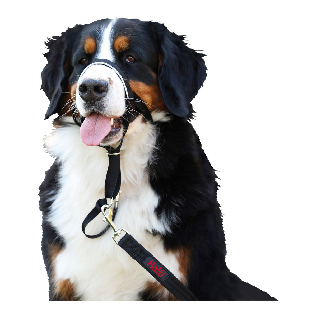 V10H9B2C8A332181545AFDC23BCE78209C83R4268423P5