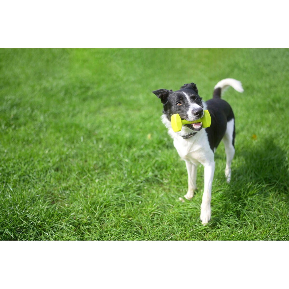 V6HC90D51E55ECFC414E58C0F66AB1691A3R3709268P6