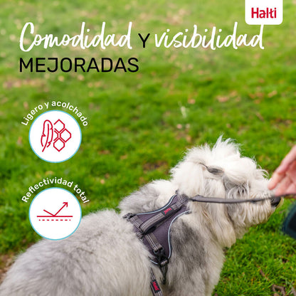 V6H6C68790BB1B8929C7C7A58DF4896A2A7R5328479P6