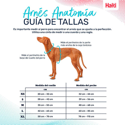 V6HD53EB70D5EA17904D8D90C4F0B1F539DR5328511P4