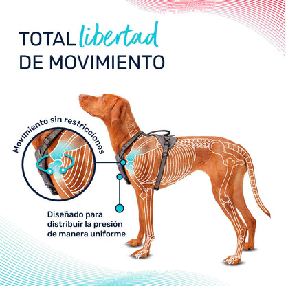 V6H8A088F8E7C13599648FCA158643AA1C2R5328513P6