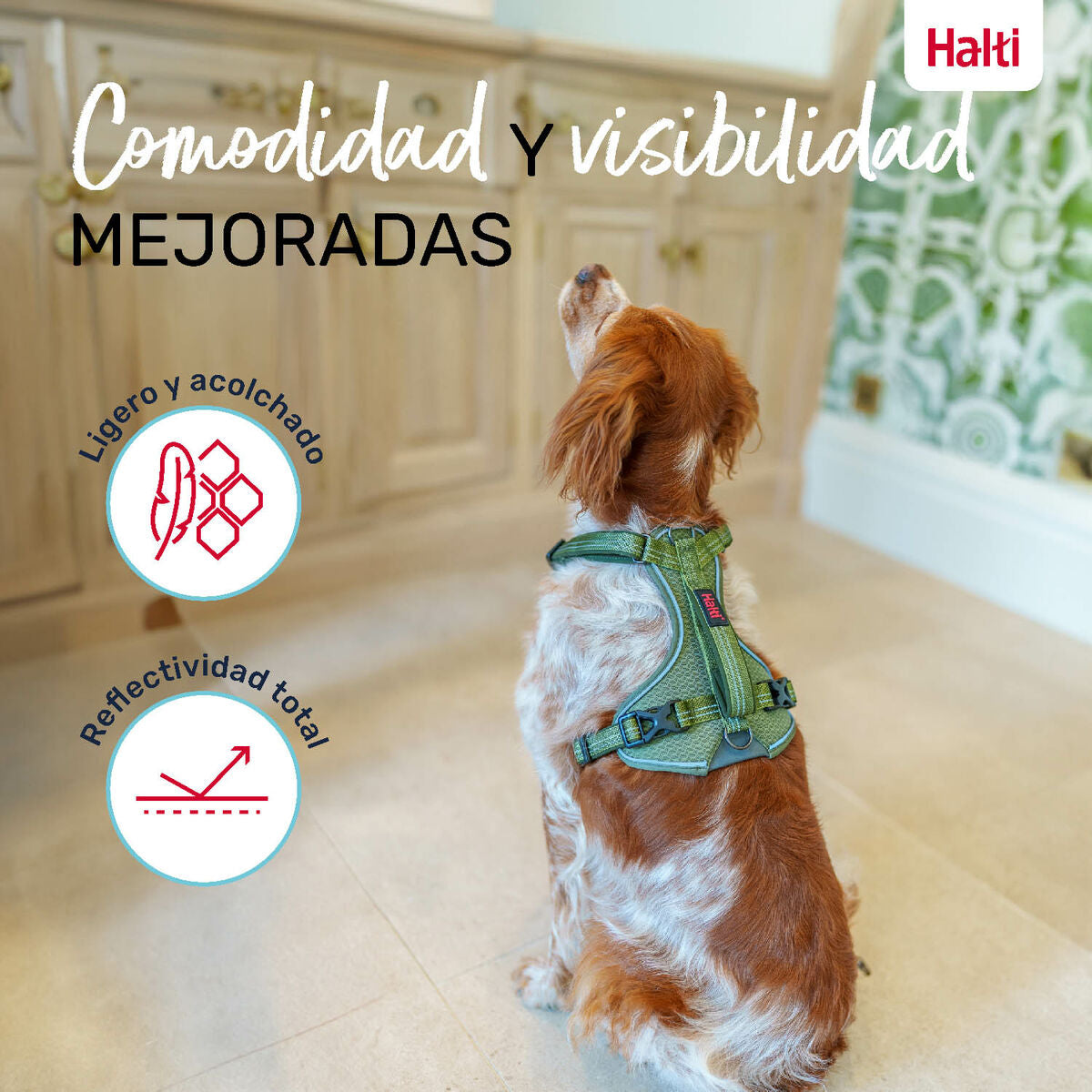 V6HEAB0B152C3FE03EB0059A8A3C2B58E35R5328566P5