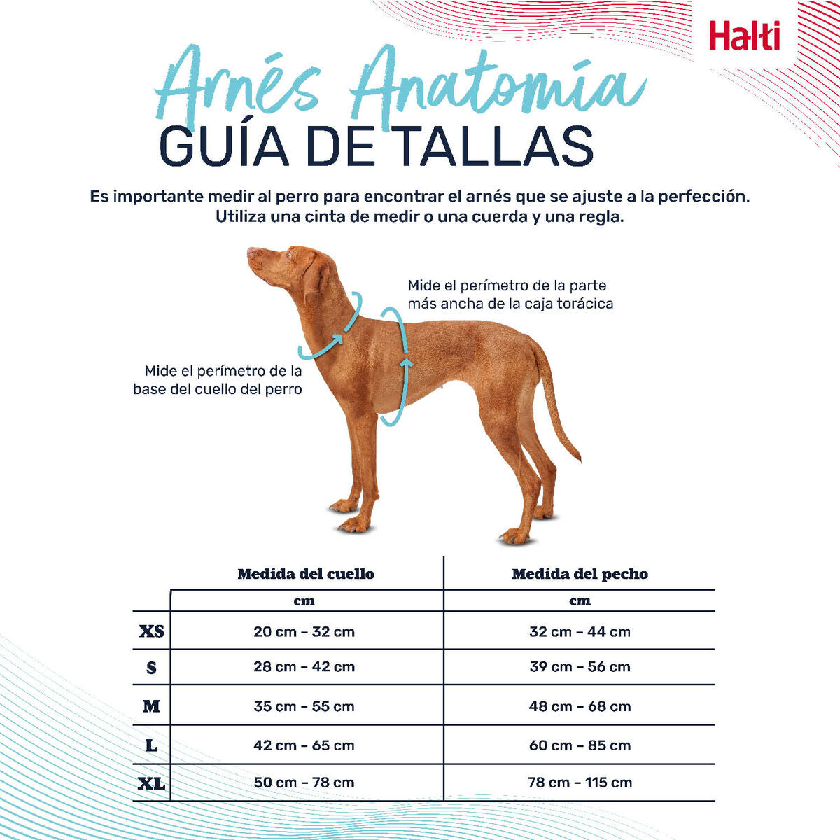 V6H681B3637ACC40B367E08952F223392A7R5328549P6