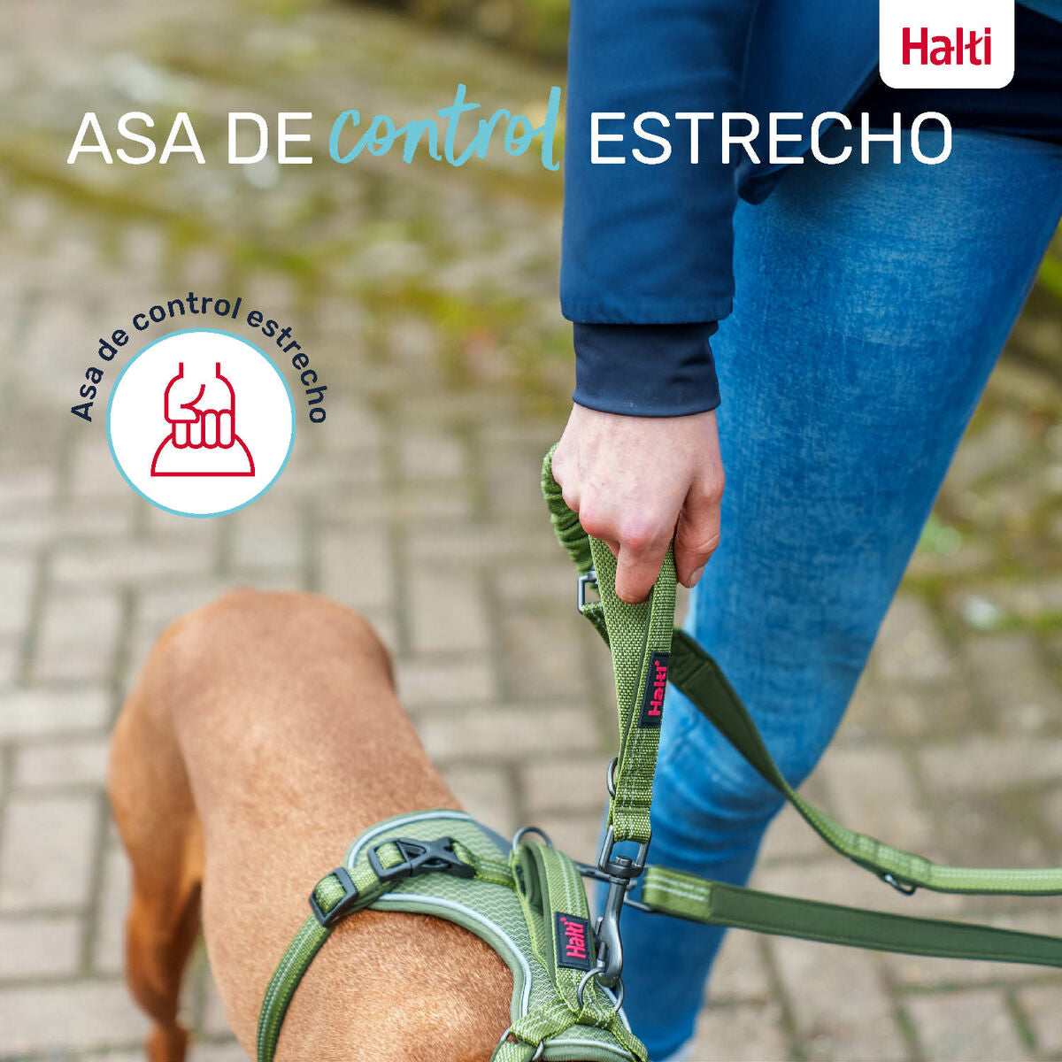 V6H6D2BCF2FCC6A29CAD706AA3F37BFC2E9R5328484P6
