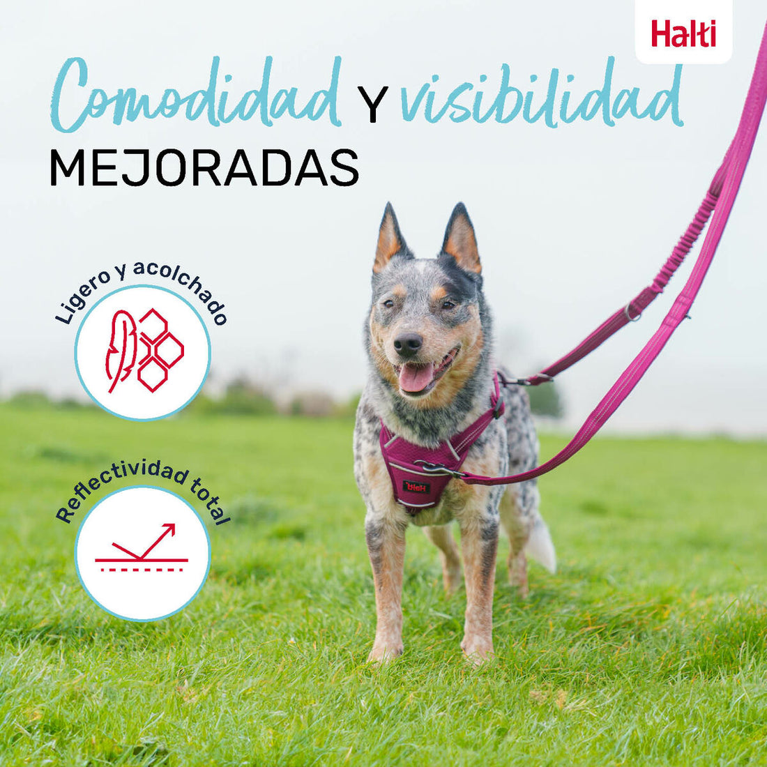 V6HCA24C6E1F766C71D085C08970F84E657R5328554P2