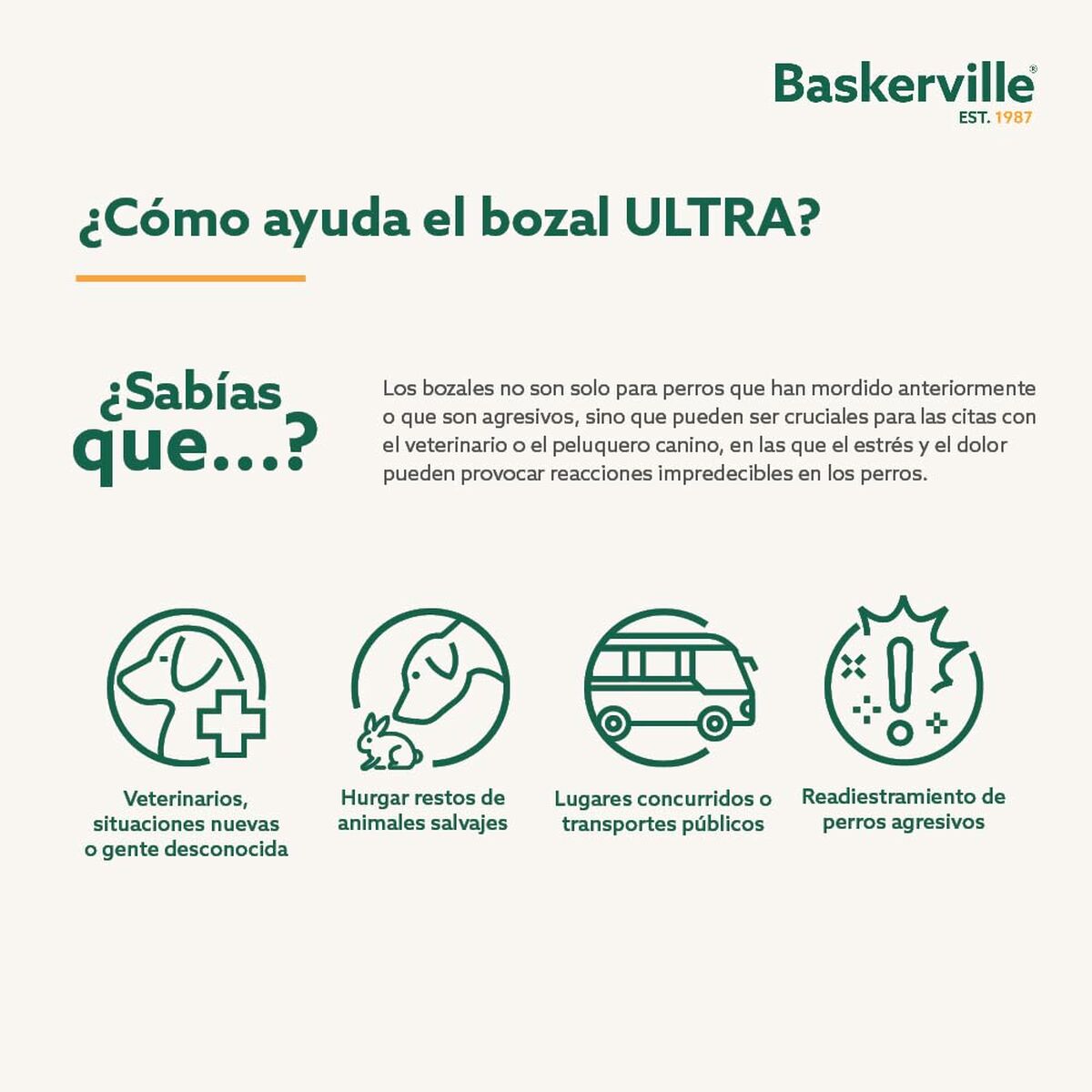 V5H52AC3D5D500079722ECEE8ECCFFE5560R5327549P3