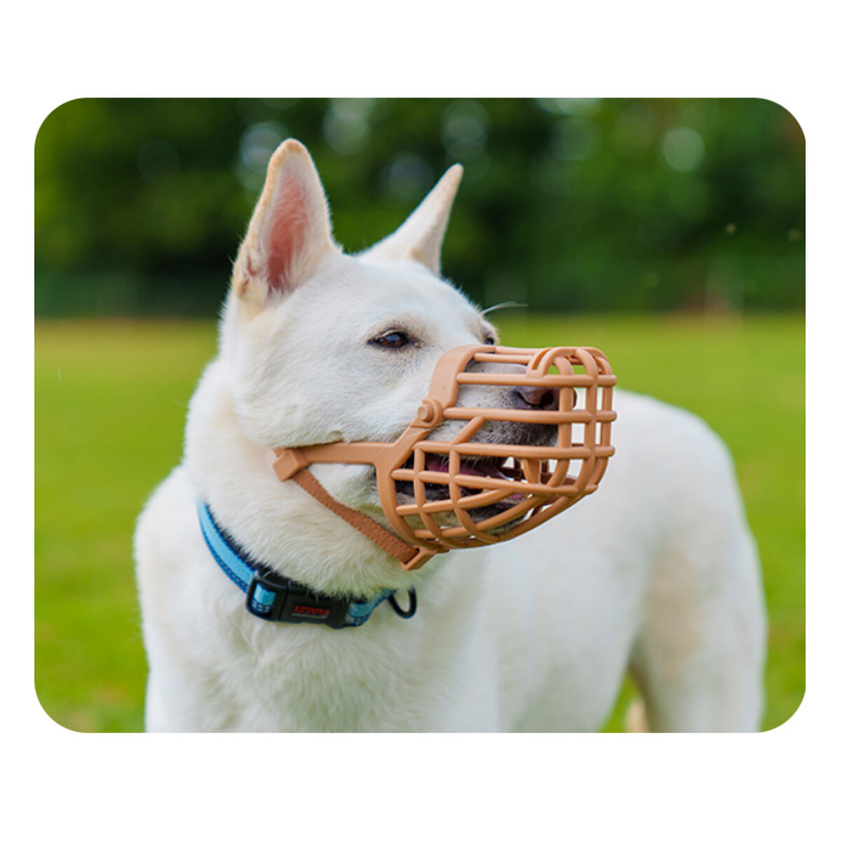 V5H34C1E1998958373A2181D283D4EE3CF3R5327586P3