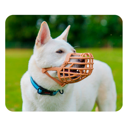 V5H0975876BE2BF8B163E30A8CB4578F2CDR5327543P3