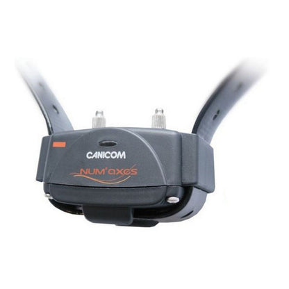 V8H48BC1DB45597E8BE44A116357F97BBCAR7178514P3