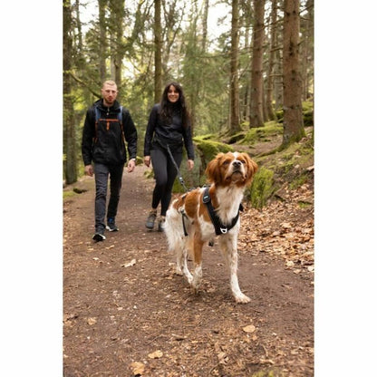 V5HCE39BD296E76F3F93EF9B651572CF948R5293577P5