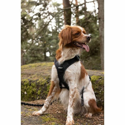 V5HC54E2D58C027F218D7DFFA8957ED2A6ER5293576P5