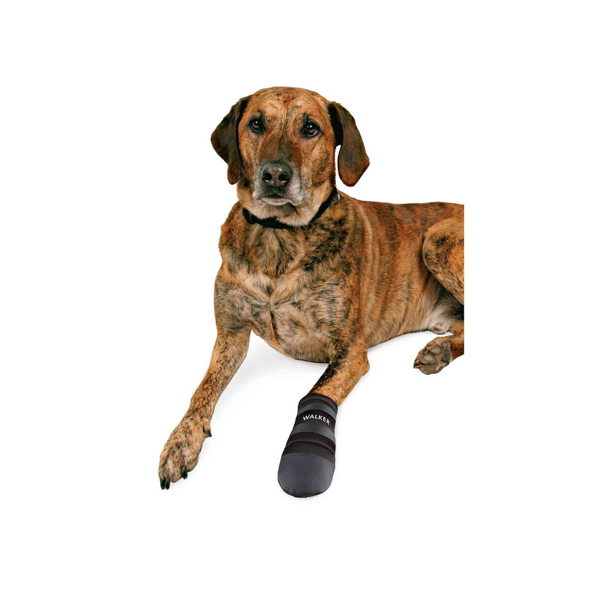 V4H75D38426DF9115C146225EF321791245R7440643P3