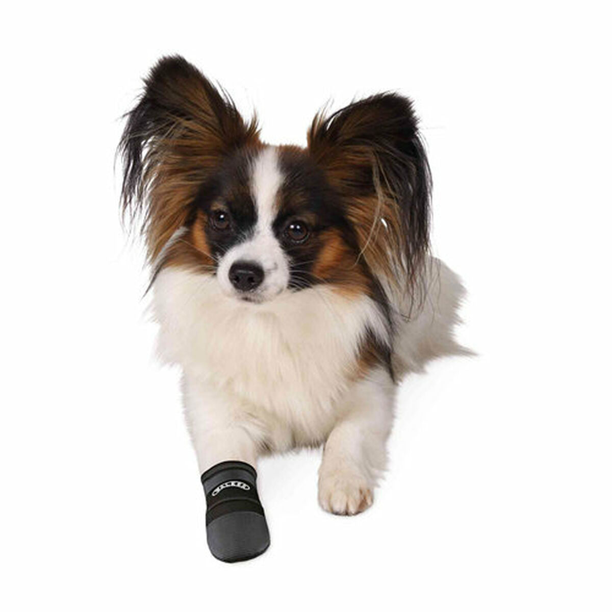 V4H0CB2E0B1947C1D04AA33BF78A0B105DCR7440610P4