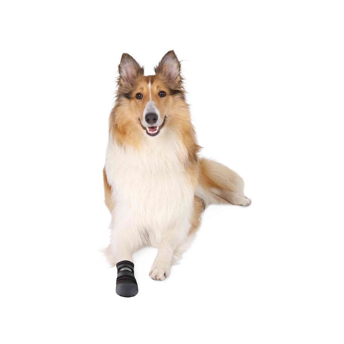 V4H672F2C3D901EA5E27715B8600458BE59R7441418P3