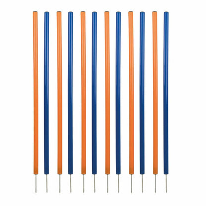 V4H0E1D33632766FA60CE1E5A698BCAF1E9R5763181P1