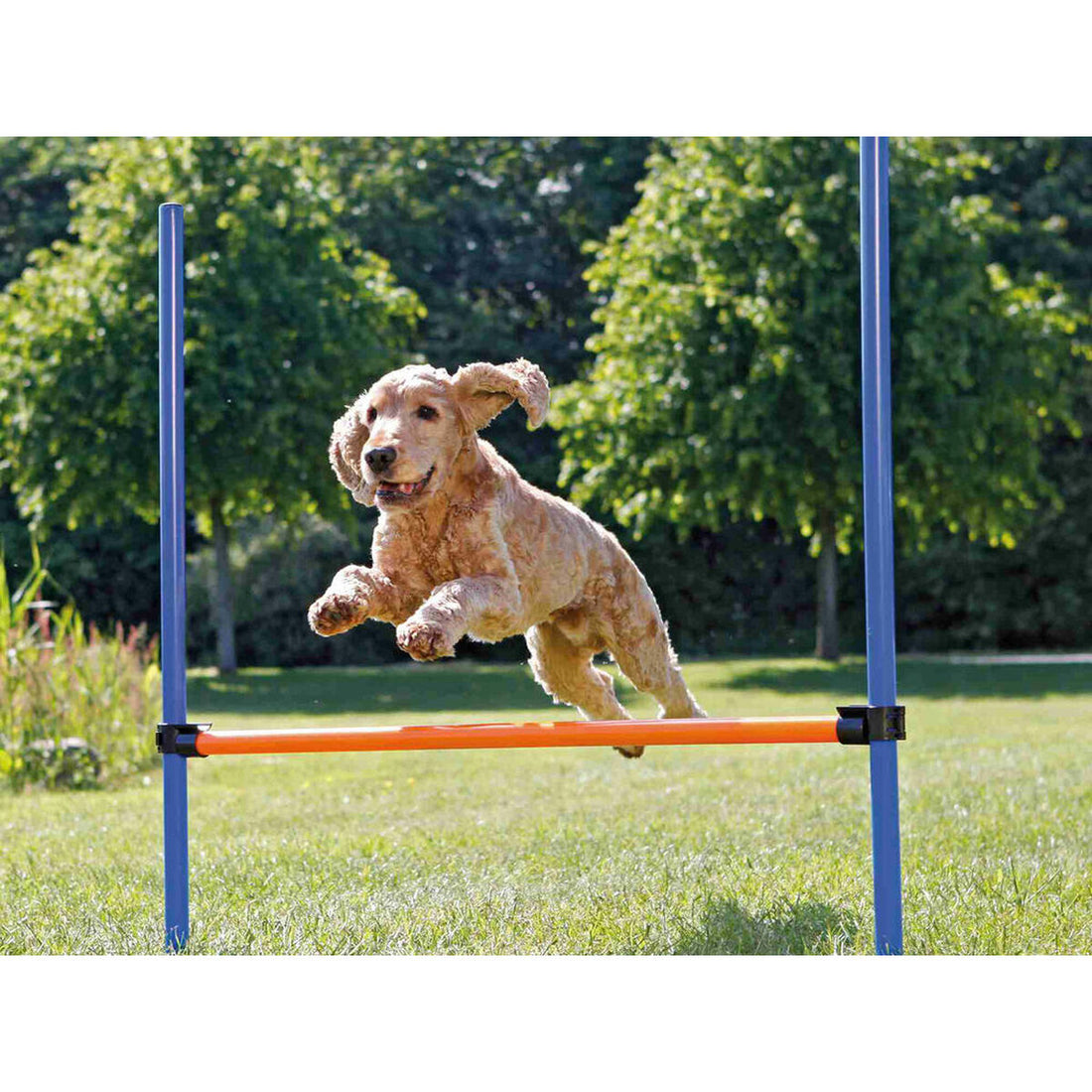 V6H4B2EBBD0BE100514CA6C13F741A519C5R7442271P2