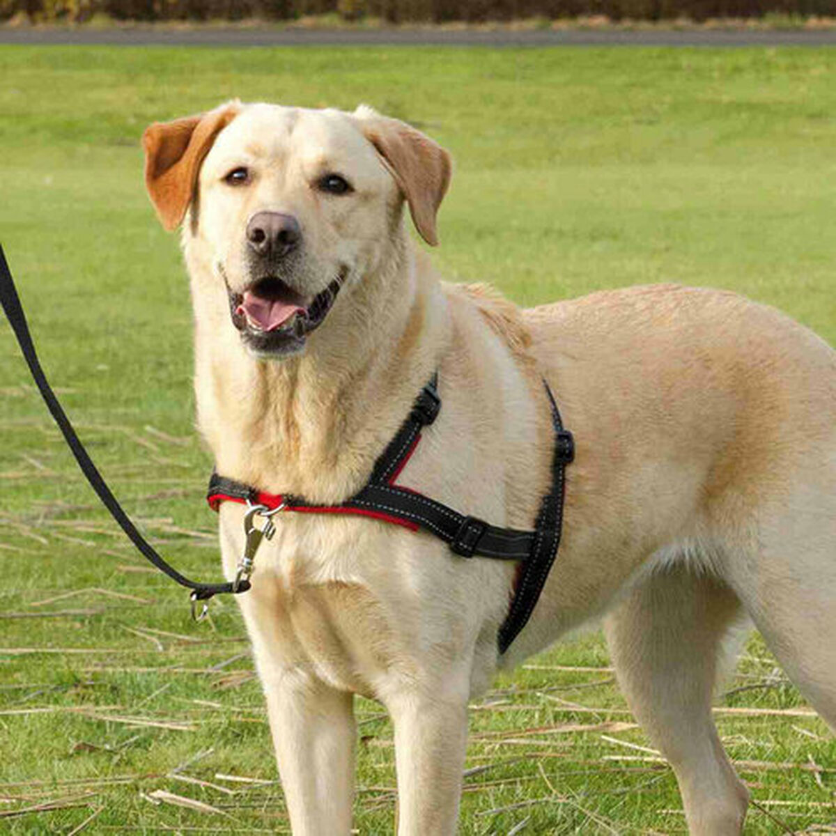 V8H716ABEA5AF4AE14F590340537C4D1615R7441892P8